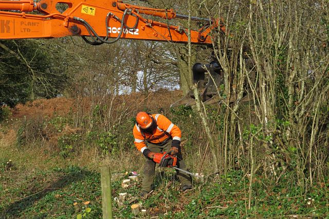 Coppicing with chainsaw and 8 t excavator with fork 2, Elm Farm, 11 Dec 14